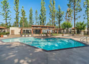 Thumbnail 28 of 35 - the swimming pool at our apartments