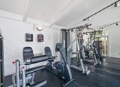 Thumbnail 23 of 35 - a gym with weights and cardio equipment in a white room
