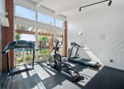 Thumbnail 22 of 35 - the gym at 1861 muleshoe road