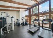Thumbnail 24 of 29 - the gym has plenty of equipment for cardio and weights