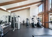 Thumbnail 26 of 29 - a gym with cardio equipment and weights on the floor