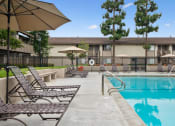 Thumbnail 28 of 57 - our apartments showcase an unique swimming pool