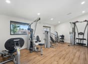 Thumbnail 32 of 41 - a gym with exercise equipment and weights on a wooden floor