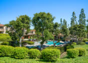 Thumbnail 24 of 41 - a view of the pool at the grove resort  spa or nearby