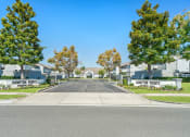 Thumbnail 52 of 68 - a street with houses and trees on either side of a road