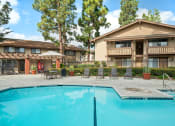 Thumbnail 29 of 32 - the swimming pool at our apartments