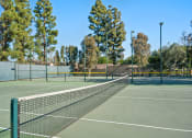 Thumbnail 31 of 34 - a tennis court with a net in the middle of it