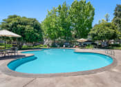 Thumbnail 9 of 61 - a swimming pool with chairs and umbrellas and trees