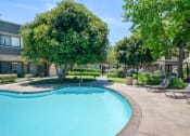 Thumbnail 57 of 61 - a swimming pool with chairs and trees in front of a building