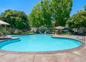 Thumbnail 56 of 61 - a swimming pool with trees and umbrellas next to a resort style pool
