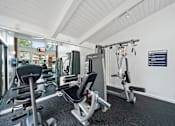 Thumbnail 23 of 41 - a gym with cardio equipment and weights on the floor