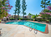 Thumbnail 23 of 40 - a swimming pool with trees and buildings in the background