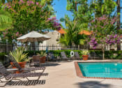 Thumbnail 18 of 40 - a swimming pool with chairs and umbrellas near a resort style pool