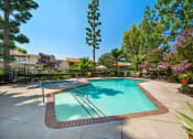 Thumbnail 24 of 40 - a swimming pool with trees and umbrellas in a resort style pool area