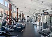 Thumbnail 34 of 37 - A gym with treadmills and exercise machines.