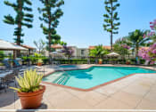 Thumbnail 26 of 40 - a swimming pool with chairs and plants near a resort style pool