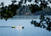 Thumbnail 21 of 21 - Two boats are sailing on a lake with trees in the background.