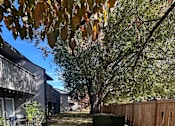 Thumbnail 18 of 20 - A backyard with a fence and a tree.