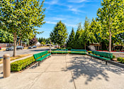Thumbnail 18 of 21 - A park with a bench and trees.