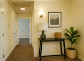 Thumbnail 6 of 16 - A hallway with a lamp and a plant on a table.
