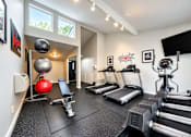 Thumbnail 14 of 18 - A gym with treadmills, weights, and exercise balls.