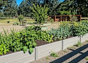 Thumbnail 15 of 17 - A garden with a wooden fence in the background.