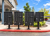Thumbnail 18 of 18 - Four black mailboxes are lined up on a sidewalk.