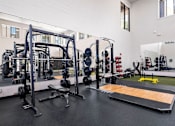 Thumbnail 25 of 42 - the gym in the owners home