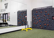 Thumbnail 26 of 42 - a large wall of exercise equipment in a room with grass