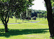 Thumbnail 14 of 16 - A tree in a grassy field with a pathway in the distance.