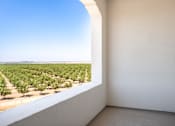 Thumbnail 16 of 16 - A room with a view of an orchard.