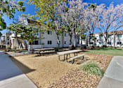 Thumbnail 9 of 16 - Picnic and BBQ area