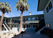 Thumbnail 18 of 20 - A building with palm trees in front of it.