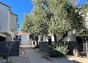 Thumbnail 2 of 20 - A residential area with a sidewalk and trees.
