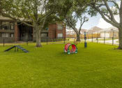 Thumbnail 23 of 35 - Mount Vernon Apartments | Desoto TX | Pet Park