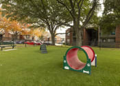 Thumbnail 22 of 35 - Mount Vernon Apartments | Desoto TX | Pet Park