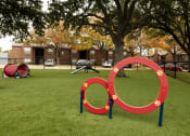 Thumbnail 24 of 35 - Mount Vernon Apartments | Desoto TX | Pet Park