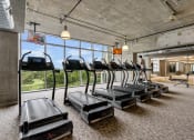 Thumbnail 33 of 114 - Allure Hermann Park | 6,000 ft² Fitness Center