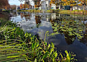 Thumbnail 16 of 56 - A serene pond with lily pads and trees in autumnal colors.