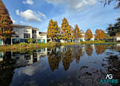 Thumbnail 17 of 56 - A serene lake in front of a building surrounded by trees.