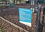 Thumbnail 13 of 56 - Bark Park | Aspire at Gateway