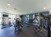 Thumbnail 14 of 16 - Lofts at San Marco East | Jacksonville, FL | Fitness Center