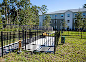 Thumbnail 17 of 20 - Jacksonville, FL| Melissa Grove | Dog Park