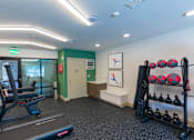 Thumbnail 17 of 24 - Gavin Point Apartments | Jacksonville, FL | Fitness Center