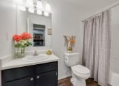 Thumbnail 24 of 47 - The Park at Wintergreen Apartments | DeSoto, TX  | Bathroom