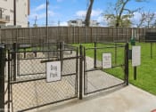 Thumbnail 53 of 114 - Allure Hermann Park | Pet Park