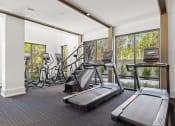 Thumbnail 32 of 60 - Longleaf at St. Johns Apartments | St. Johns, FL | Multi-Level Fitness Center