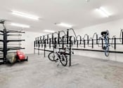 Thumbnail 50 of 60 - Wall of bikes on display inside a store, showcasing various models and colors for sale in Florida
