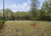 Thumbnail 12 of 18 - Lofts at Brooklyn Downtown Jacksonville FL | Dog Park