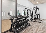 Thumbnail 20 of 47 - Fitness Center at The Residences at Enso, Florida